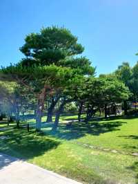 한 폭의 그림 같은 광한루원 산책길 🎋