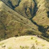 🌄 Mt. Mariglem Adventure Guide: Conquer Zambales’ Scenic Gem