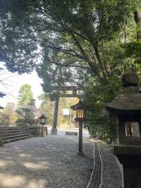 日本九州高千穗一日遊