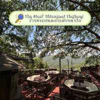The Giant Chiangmai Thailand – ร้านกาแฟบนต้นไม้ใหญ่