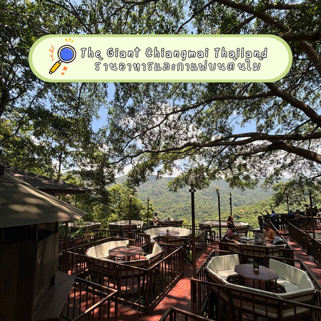 The Giant Chiangmai Thailand – ร้านกาแฟบนต้นไม้ใหญ่