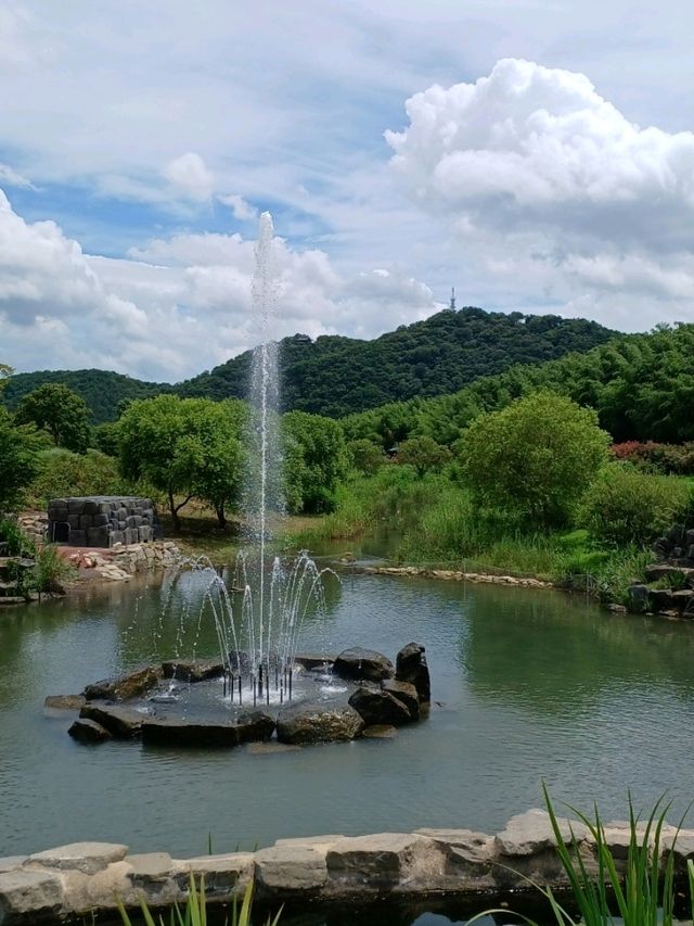 꽃길 따라 걷는 힐링 산책 🌸