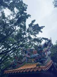 台北|象山公園|城市綠洲的健行與賞景之旅