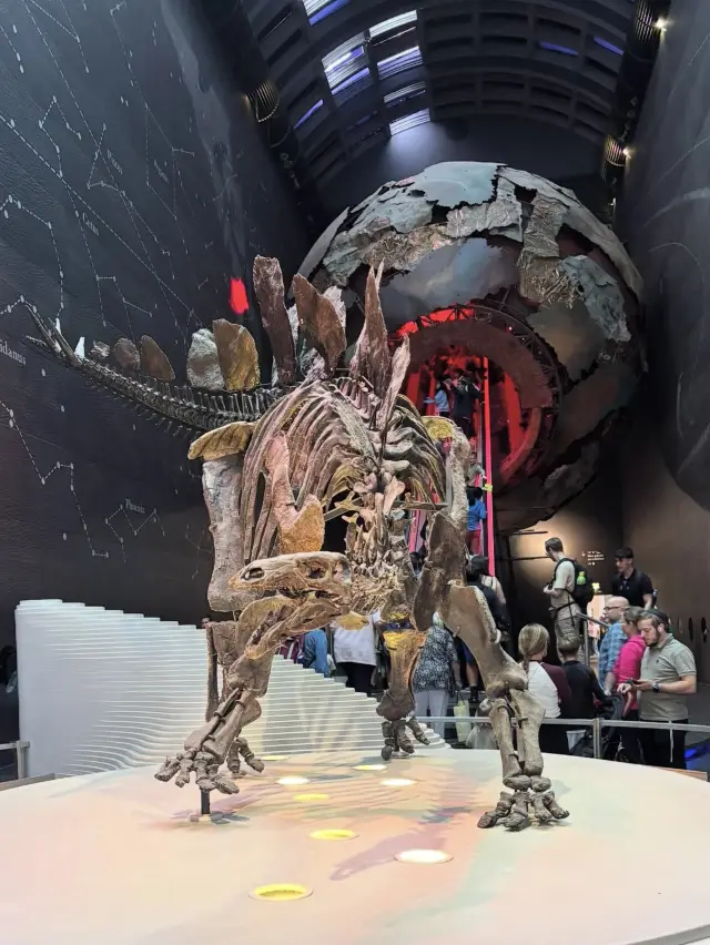 Natural History Museum - London