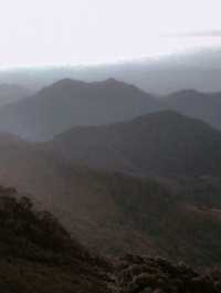 Thung Bua Tong Fields