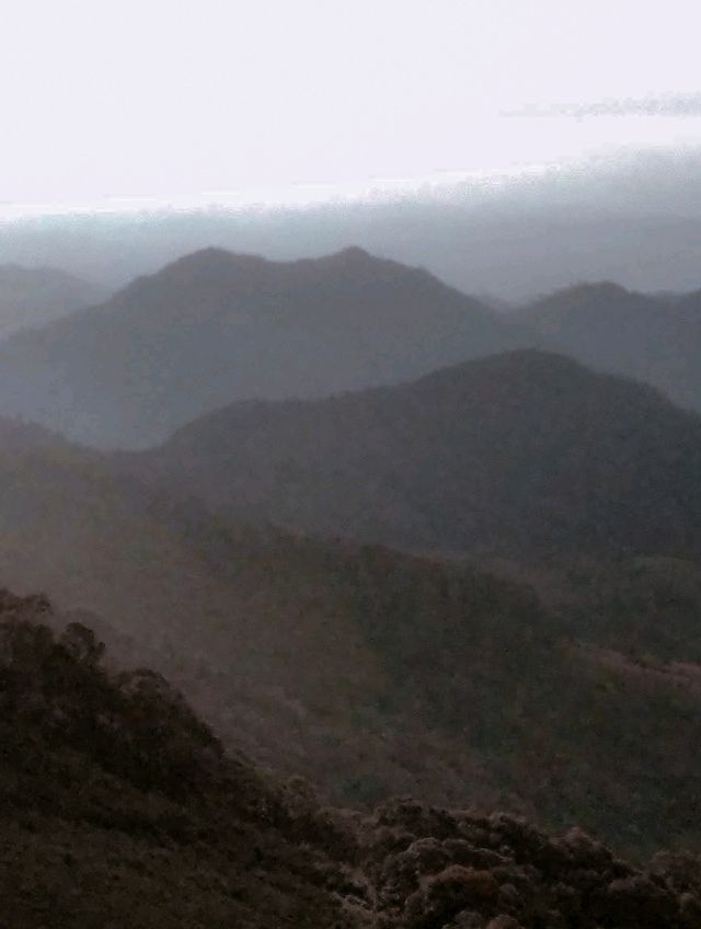 Thung Bua Tong Fields