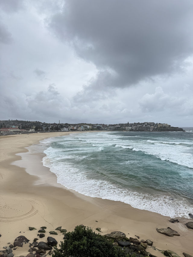 🇦🇺 這是一份詳盡的邦迪海灘遊玩攻略🌊🌊