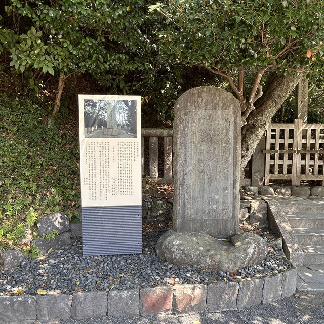 The Soul of Kamakura: A Solo Visit to Tsurugaoka Hachimangu Shrine ⛩️