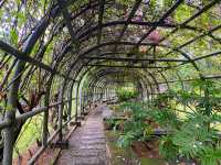 Bougainvilaa Trail Putrajaya – A Colorful Escape for Nature Lovers