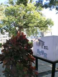 曾經是抗日名將的駐所#孫立人將軍行館-屏東縣屏東市