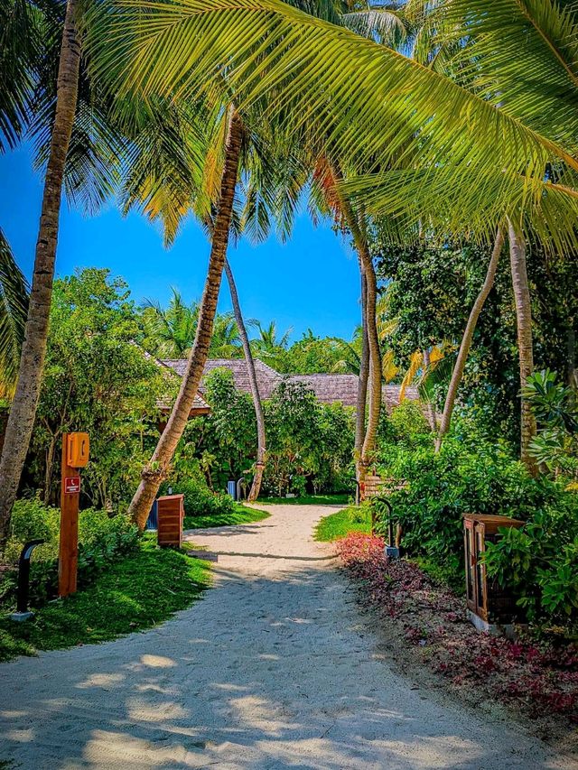 Veligandu Island Resort & Spa 