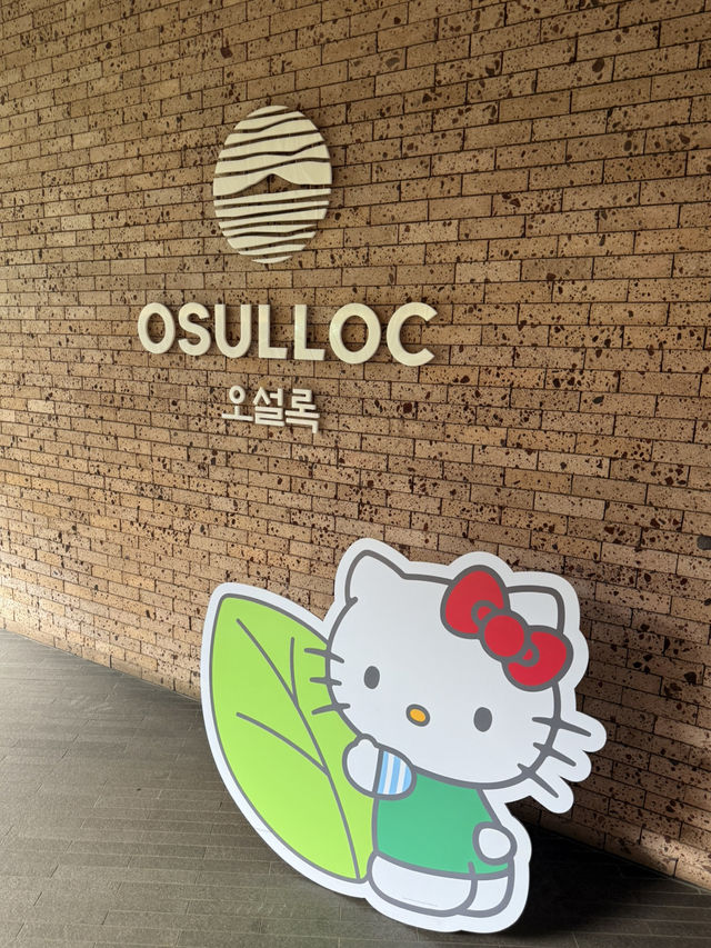 Sipping Serenity at Osulloc Jeju 🍵✨