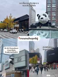 เฉิงตู-สี่ดรุณี-จิ่วจ้ายโกว-หวงหลง 6วัน5คืน✈️🇨🇳