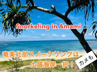 A summary of snorkeling spots and facilities in northern Amami!