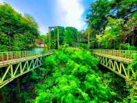 Khao Bot View Point：俯瞰山海交界的景致