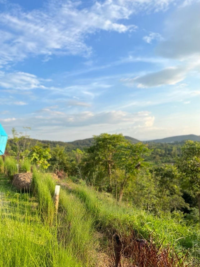 “On The Rock @ NamPhrae, หางดง เชียงใหม่”