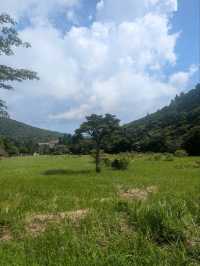 雲仙の地獄巡りで感じる大地の息吹✨⛰️