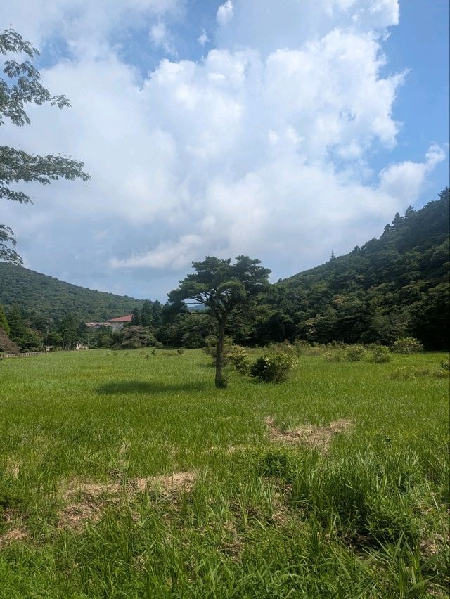 雲仙の地獄巡りで感じる大地の息吹✨⛰️