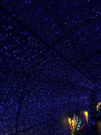 🖼️ Lighting Art Museum & Balloon Garden