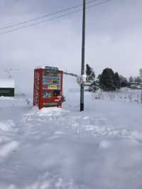 My road trip to Furano & Otaru