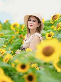 เที่ยวชมดอกไม้ที่ สวนลุงเวศน์🌻