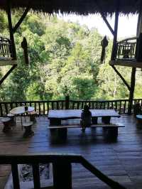 🌳 "บ้านต้นไม้" ที่พักและคาเฟ่สุดชิลล์ในเชียงดาว
