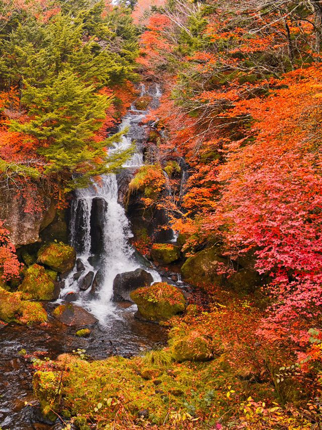 旅行前に見て】観光攻略付‼️岩肌を流れ落ちる迫力満点の滝絶景へ🌊 🐉🍁✨  旅行前に見て】観光攻略付‼️岩肌を流れ落ちる迫力満点の滝絶景へ🌊 🐉🍁✨