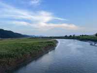 Suncheon Bay Nature Reserve