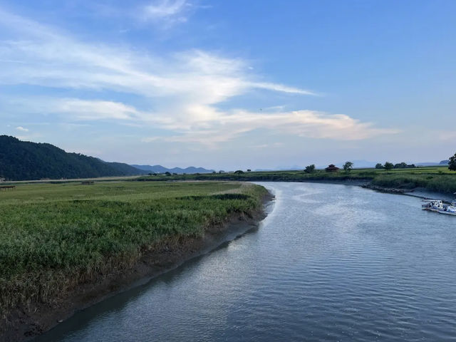 Suncheon Bay Nature Reserve