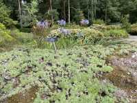 Royal Botanic Garden Edinburgh