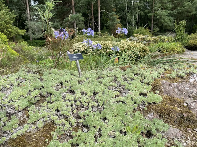 Royal Botanic Garden Edinburgh