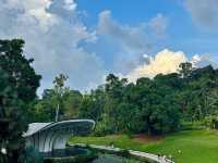 Singapore Botanic Gardens