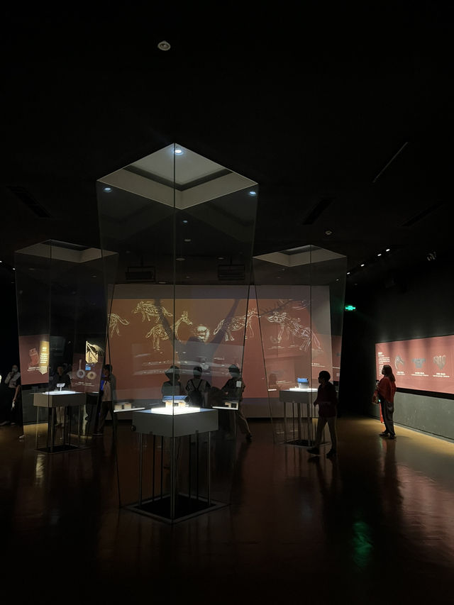 ย้อนรอยอารยธรรมกว่า 7,000 ปีใน Hemudu Museum 🏺