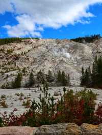 🌋 Yellowstone National Park – The Wild Heart of America