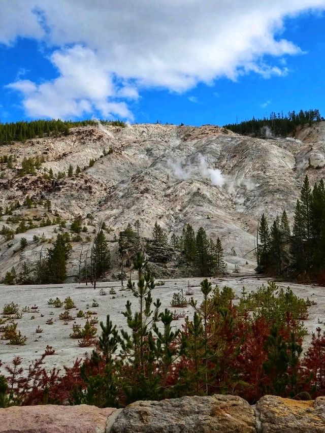 🌋 Yellowstone National Park – The Wild Heart of America