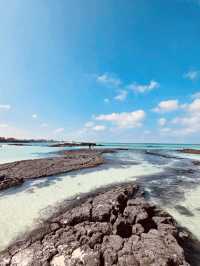 A Windsurfer's and Kiter's Paradise