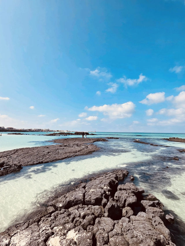 A Windsurfer's and Kiter's Paradise