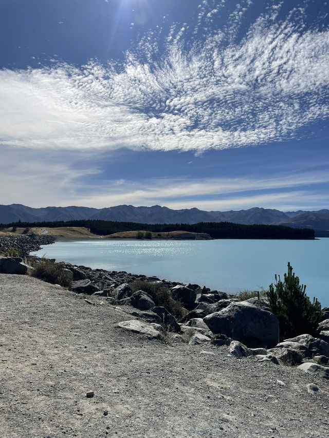 【ニュージーランド・サウスアイランド】青い絶景と美味しいサーモン「Lake Pukaki」🌄🐟
