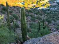 🏞️ Camelback Mountain – Phoenix’s Iconic Adventure Peak
