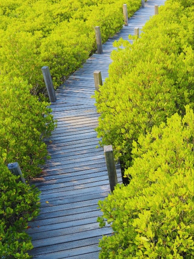 เที่ยวระยอง ครบทุกอารมณ์ ทั้งทะเล ป่าเขา เที่ยวระยอง ครบทุกอารมณ์ ทั้งทะเล ป่าเขา