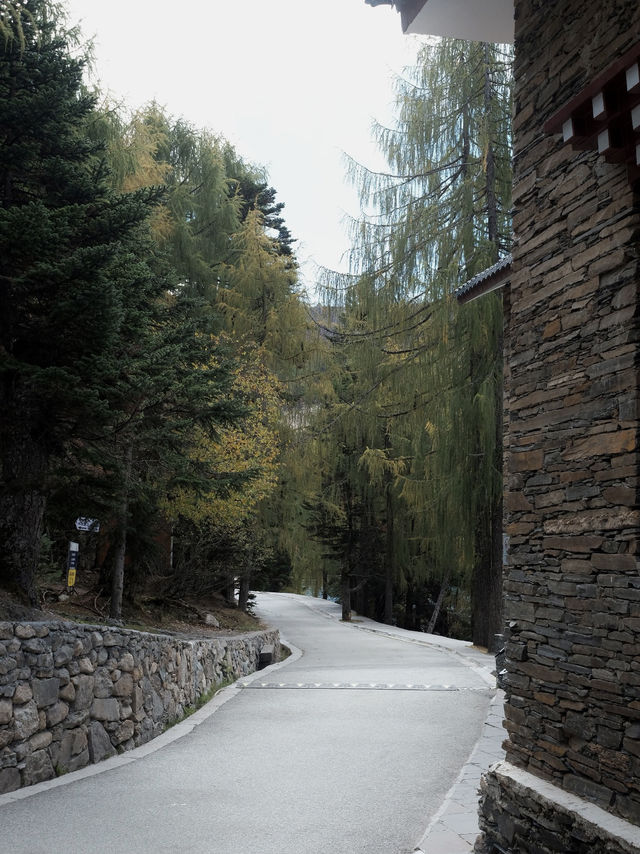 Mugecuo (木格措): ที่ลับในเสฉวนที่เราตกหลุมรัก 💖