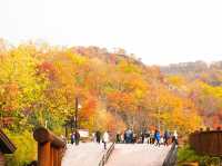 노보리베츠에 갔다면 꼭 들려야할 🍁단풍으로 가득한 ‘노보리베츠 지옥계곡’