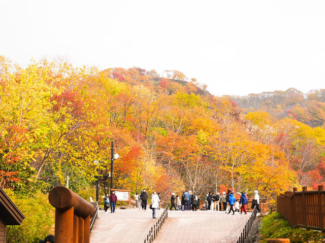 노보리베츠에 갔다면 꼭 들려야할 🍁단풍으로 가득한 ‘노보리베츠 지옥계곡’