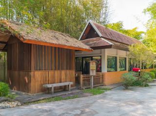 Nekoemon Cafe Chiang Mai