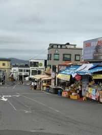 济州岛自然美景与烟火美食交织的舒心体验 💗