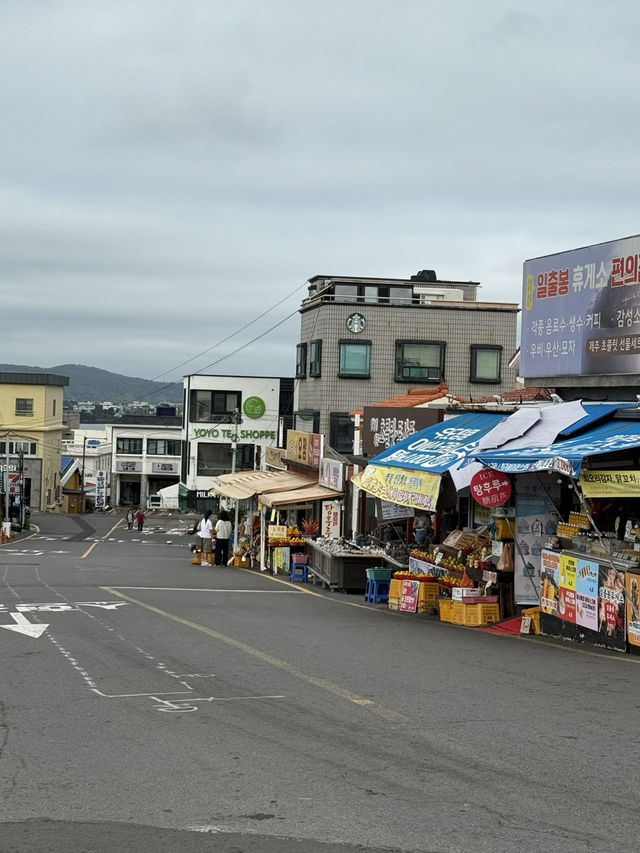 济州岛自然美景与烟火美食交织的舒心体验 💗 济州岛自然美景与烟火美食交织的舒心体验 💗
