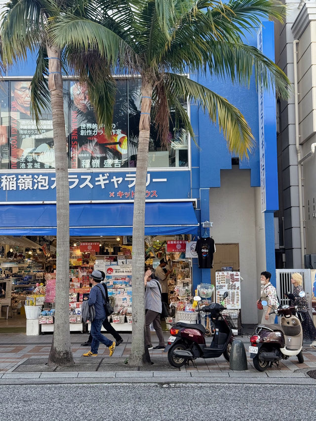 겨울에도 여름처럼! 오키나와 감성여행기