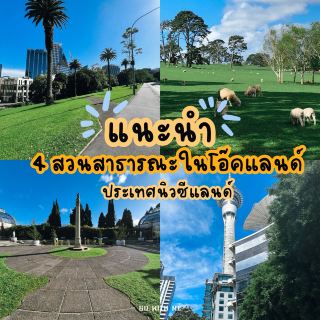 Recommended 4 parks in Auckland, New Zealand