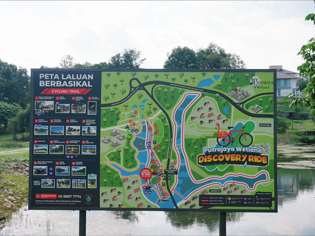 Eco-Adventure in the City: Cycling and Exploring the Wetland Trails