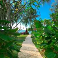 This Family-Friendly Paradise in Penang Is Seriously Next-Level! 👶🌴